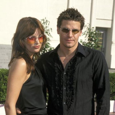 Divorced husband and wife: Ingrid Quinn and David Boreanaz (Cheating scandal)